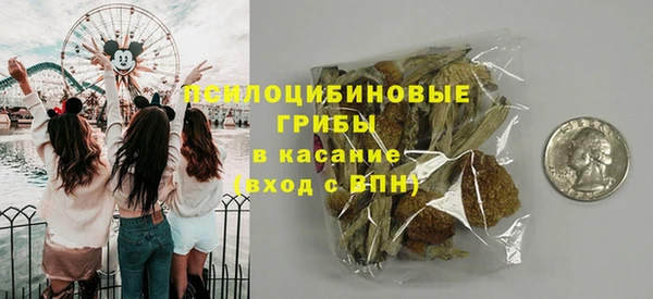 прущая мука Алзамай